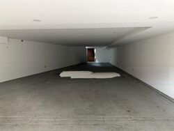 Whitley Road (D11), Terrace #480532751